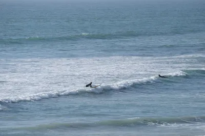 DSC_6958 (Large).JPG